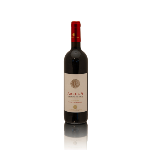 Flasche Arruga, Carignano del Sulcis