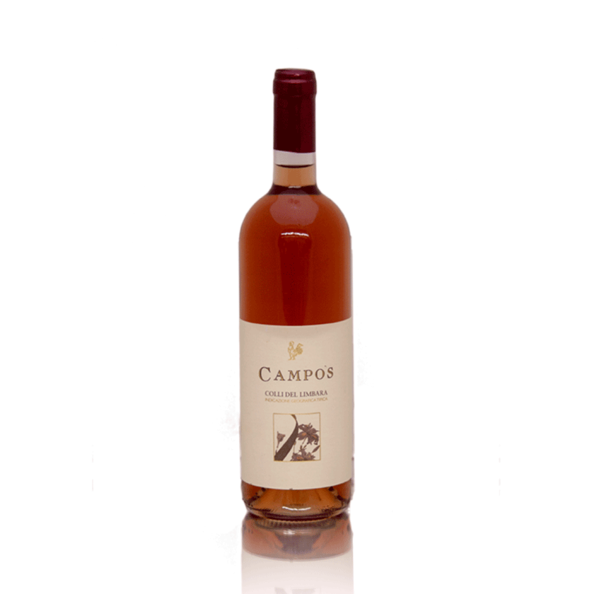 Templum Cannonau