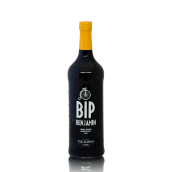 Flasche Marsalawein BIP Benjamin